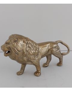 Lion goud